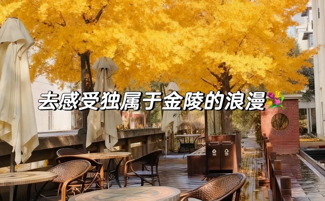 来南京住我家吧！98俩人😭就在夫子庙