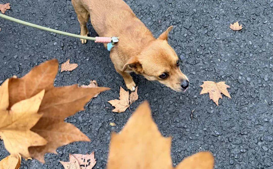 📍𝑵𝒂𝒏𝑱𝒊𝒏𝒈