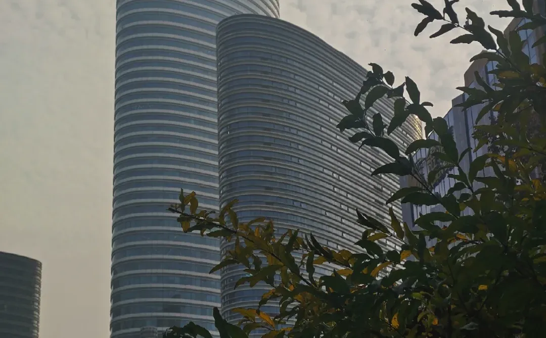 徐州旅游|徐州的大苹果🍎在文庙里？