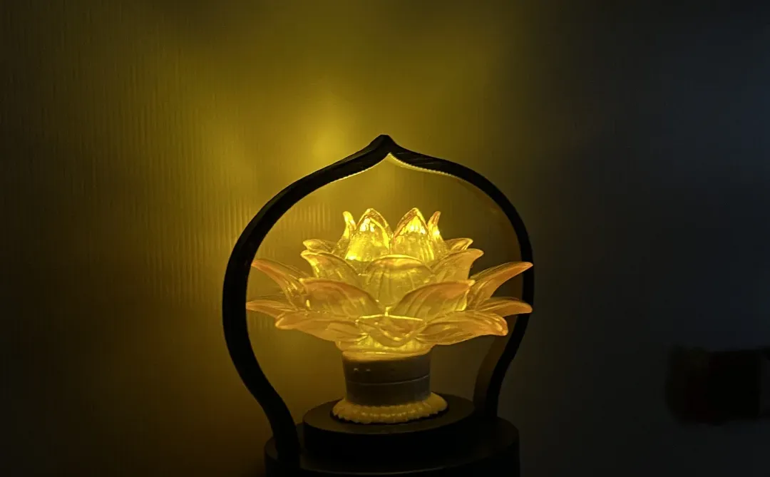 我来徐州只办一件事🪷