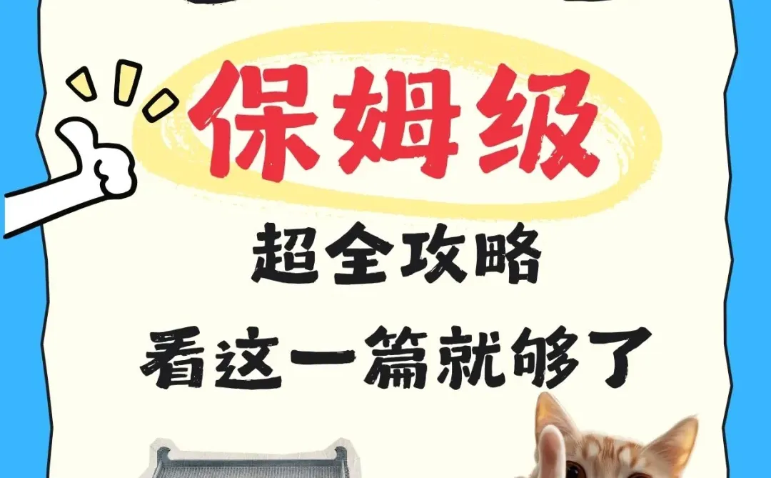 📜来徐州龟山汉墓 |看这一篇就够了