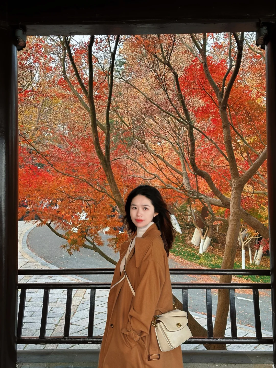 12月实况！南京的深秋真的美疯了！！