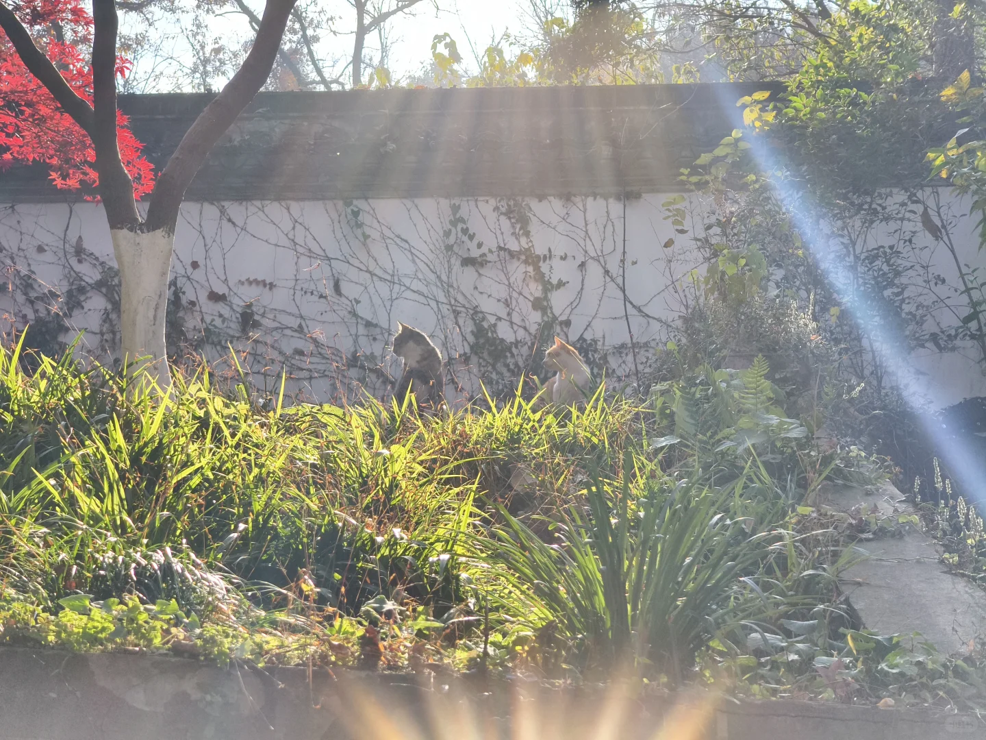 原来南京真的会让人有戒断反应！