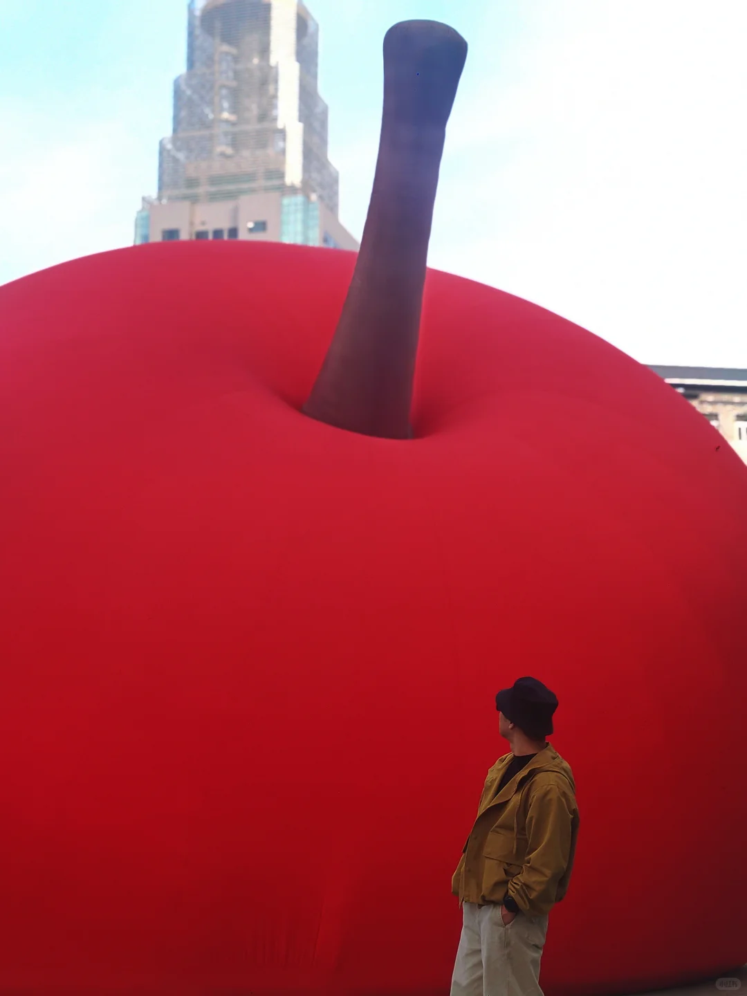 徐州旅游|徐州的大苹果🍎在文庙里？