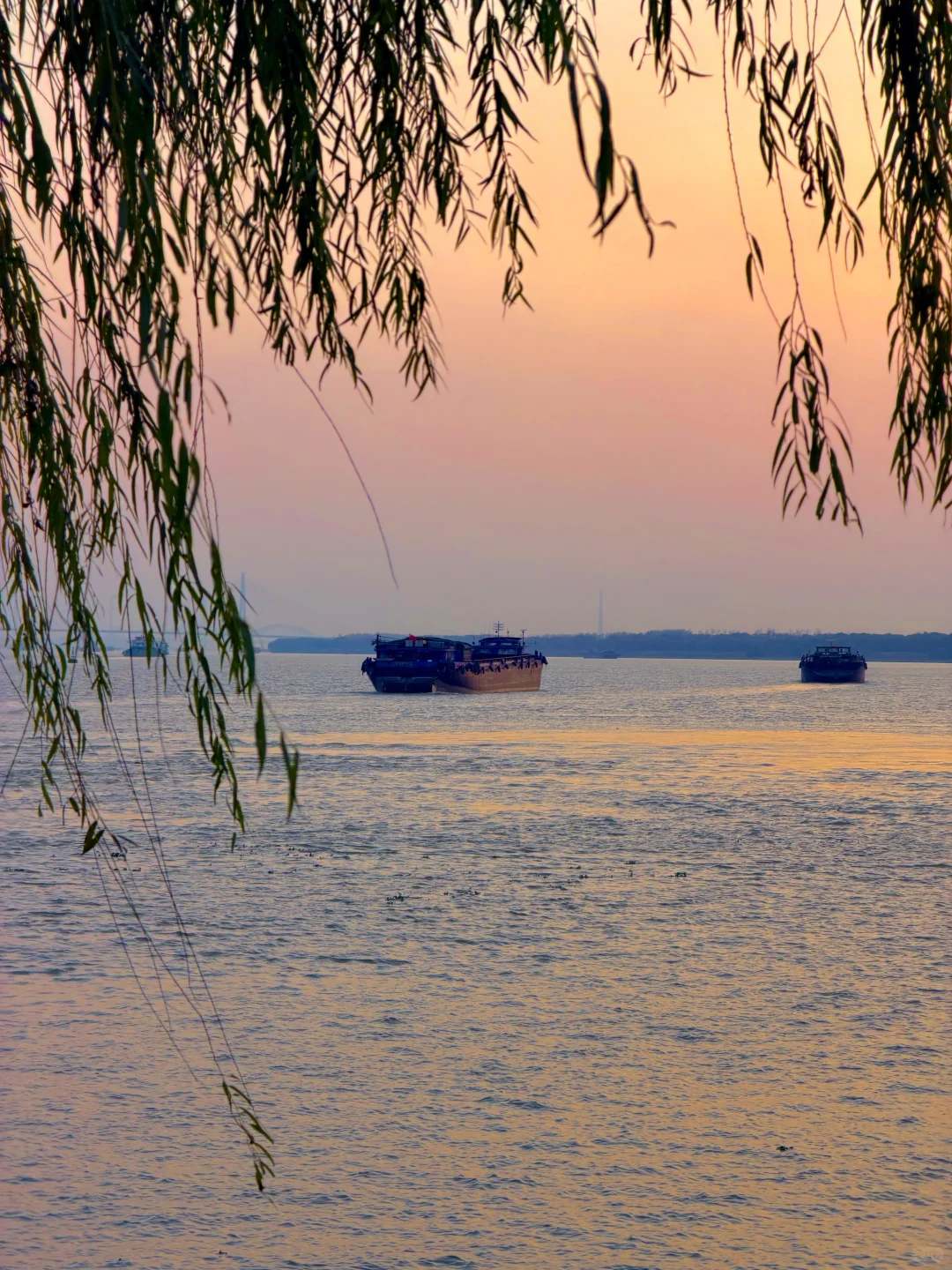 每个来南京的朋友 都会被我带来的地方…