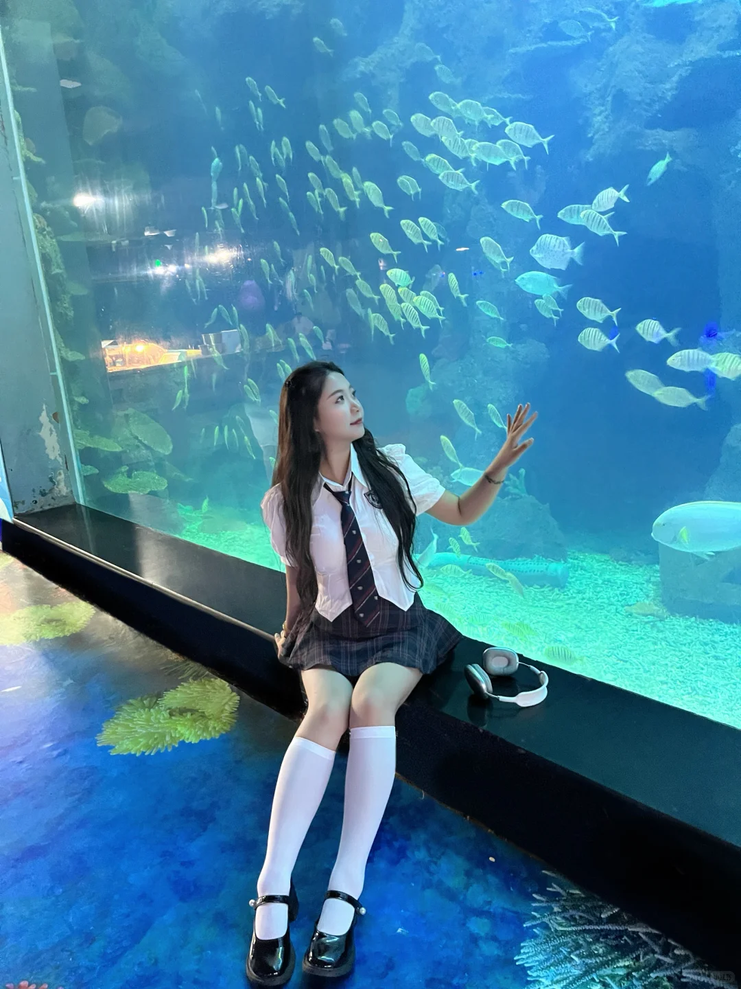 徐州 海洋馆 巨出片