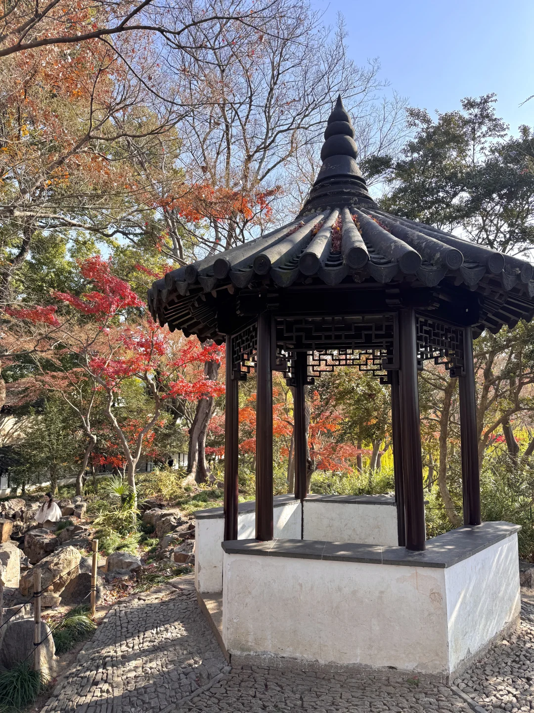 12.15实况！留园最后的红枫！