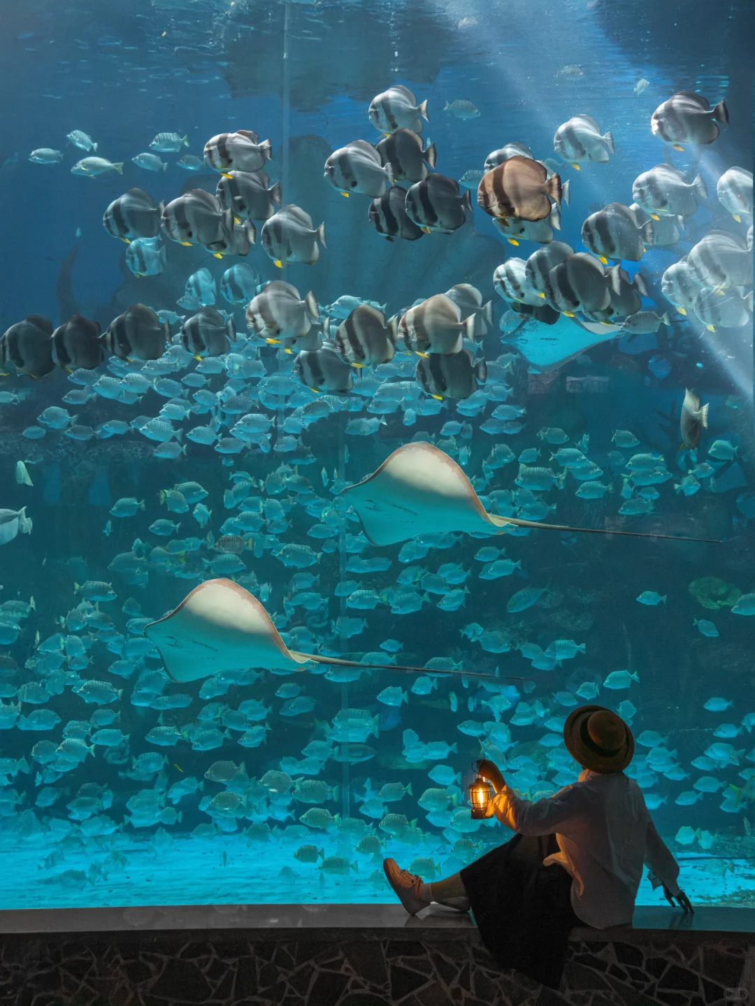 为了这扇窗，我特地去了趟徐州…