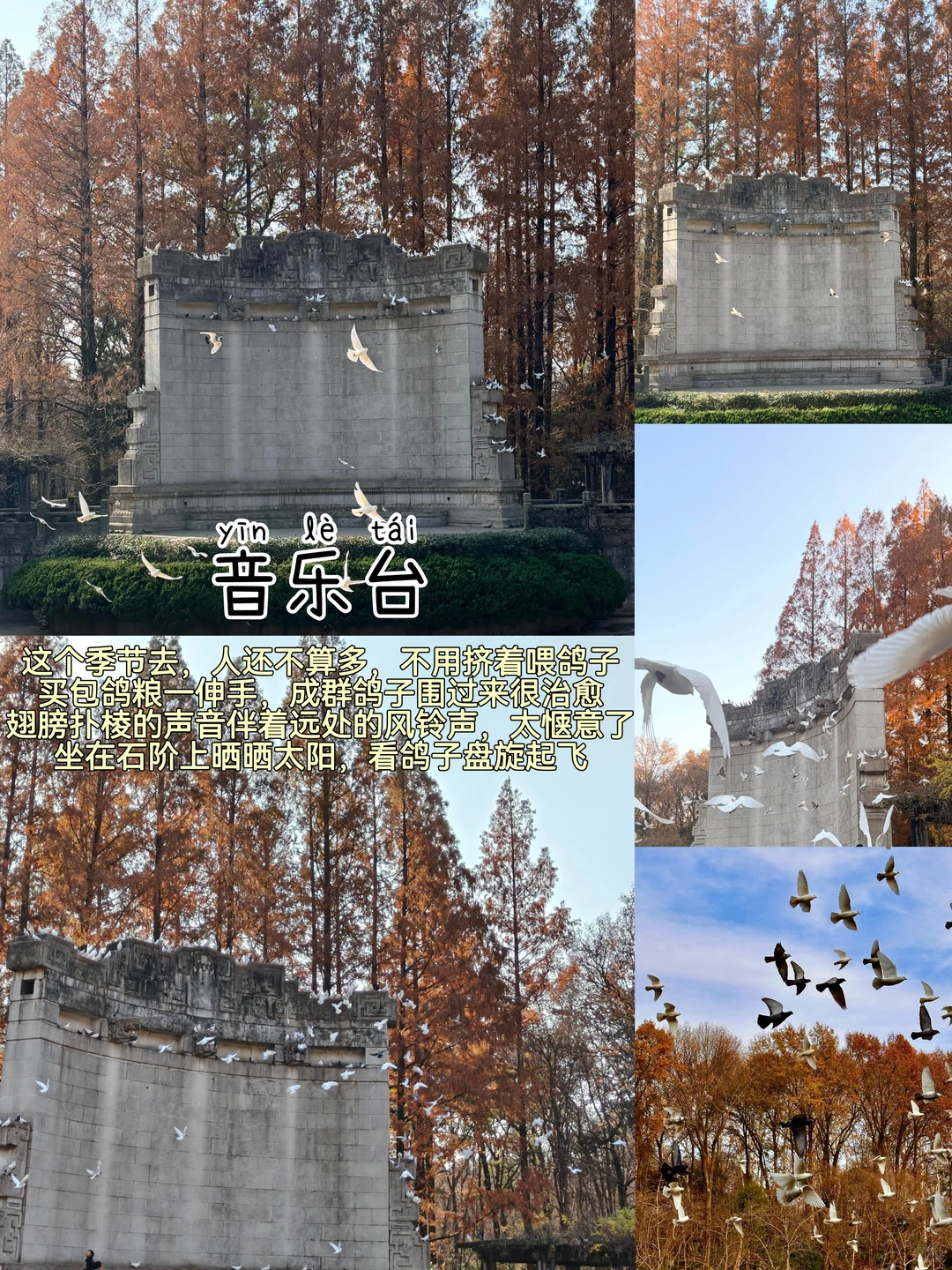 南京📍两日游丨不走回头路保姆级逛吃攻略