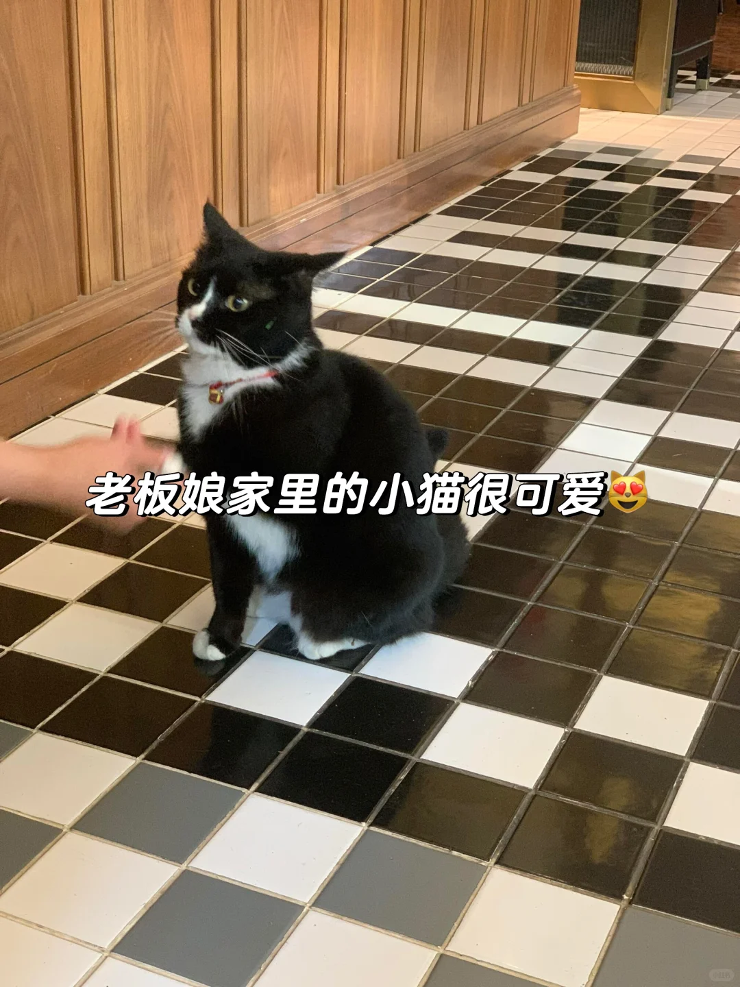 来南京住我家吧！98俩人😭就在夫子庙