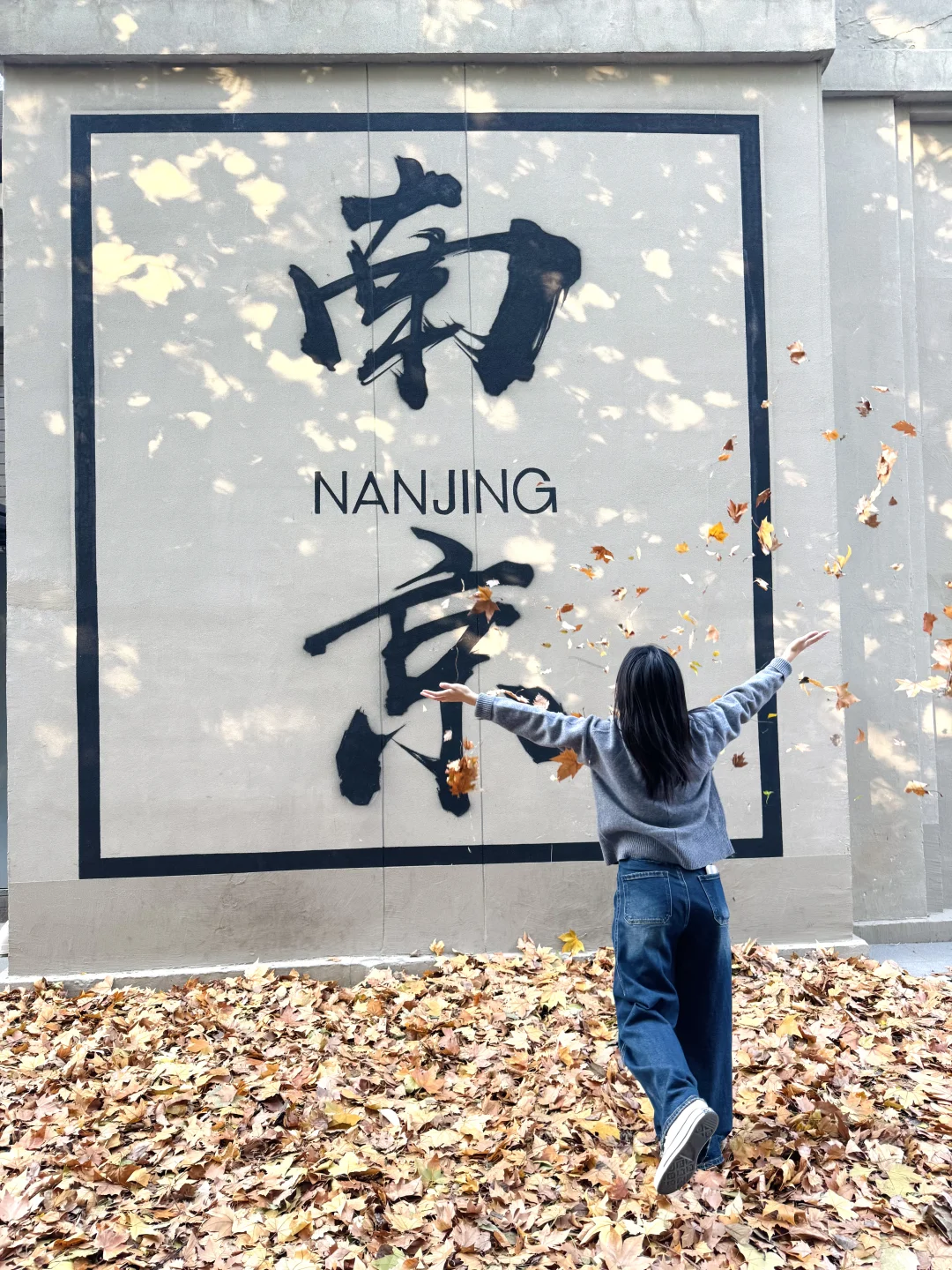 🍂南京网红墙满地梧桐落叶太有氛围感了吧！