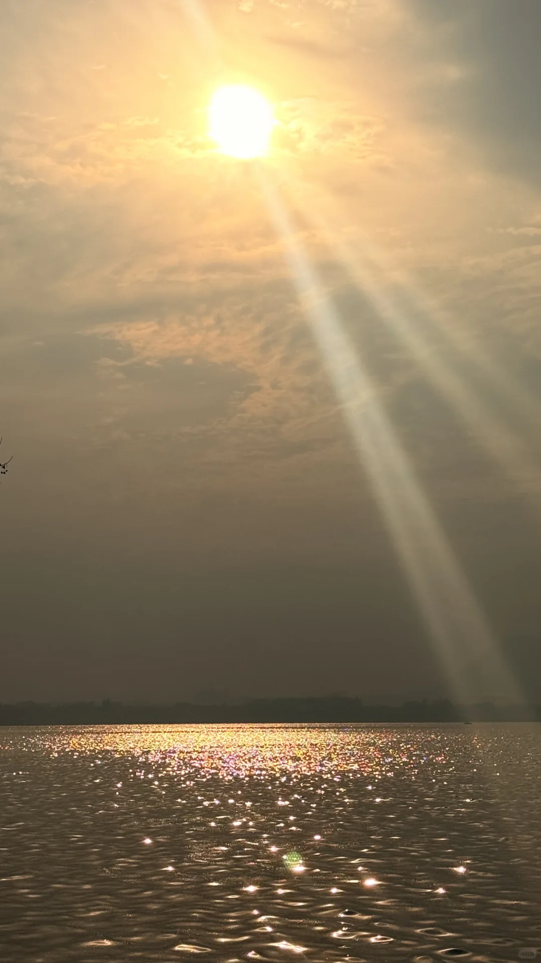 想和你交换一张浮光跃金的照片