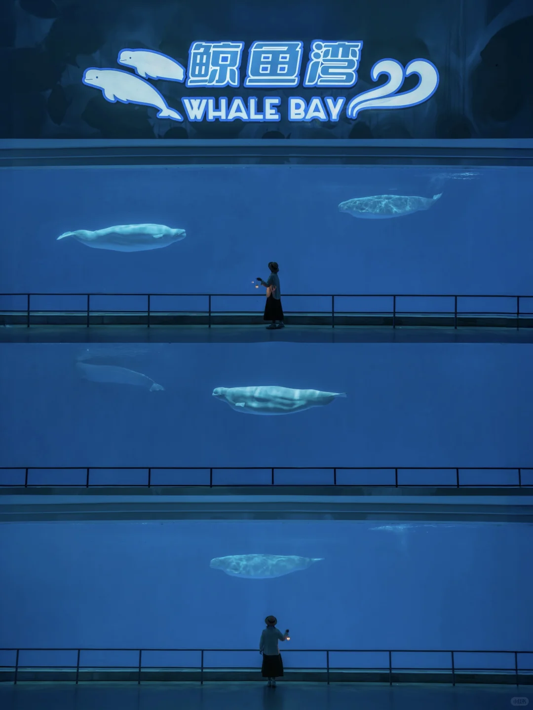 为了这扇窗，我特地去了趟徐州…