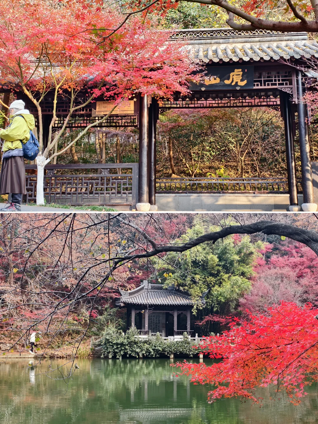 原来南京真的会让人有戒断反应！