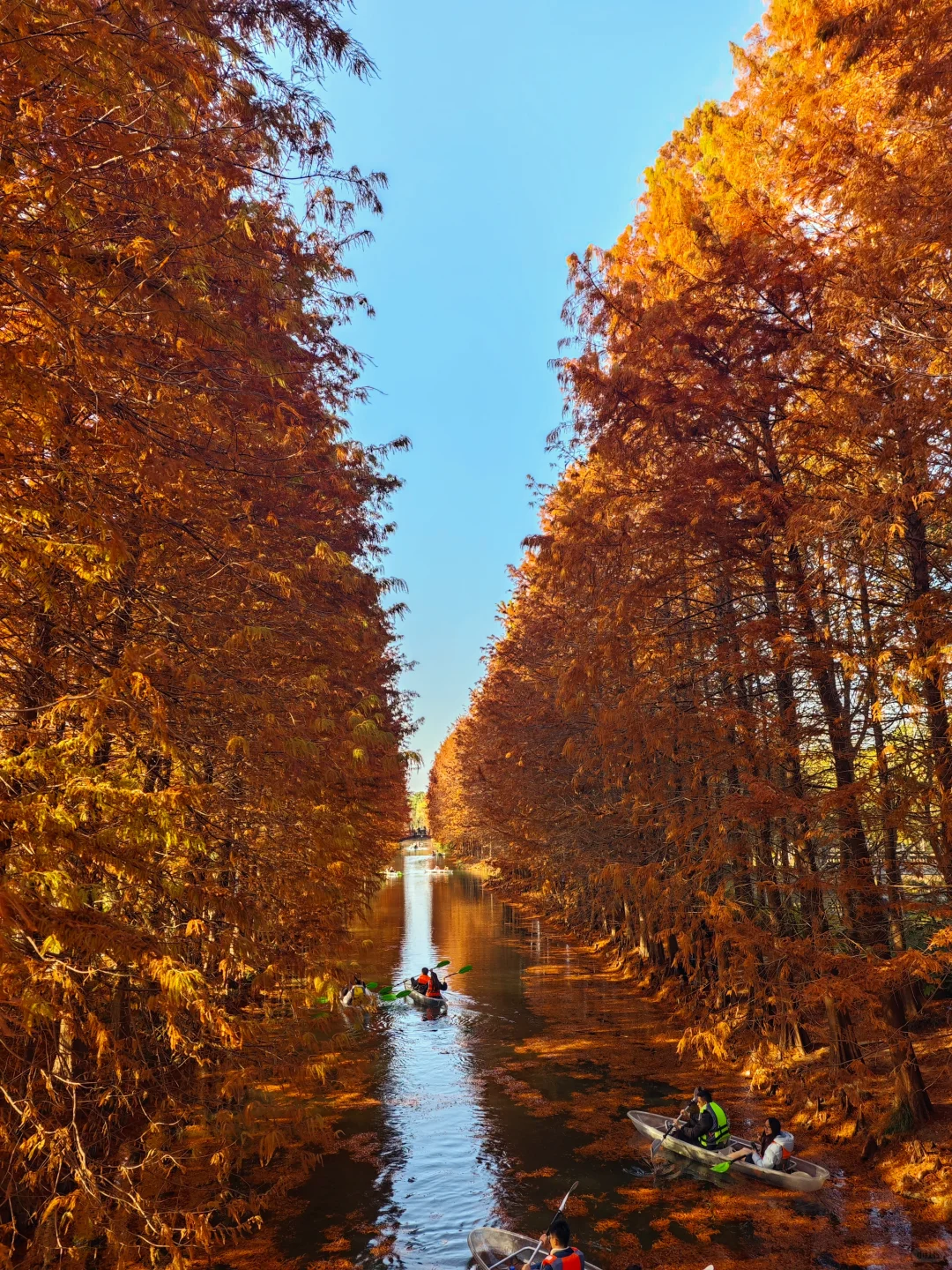 12.14周末逃离上海之苏州虎丘湿地公园