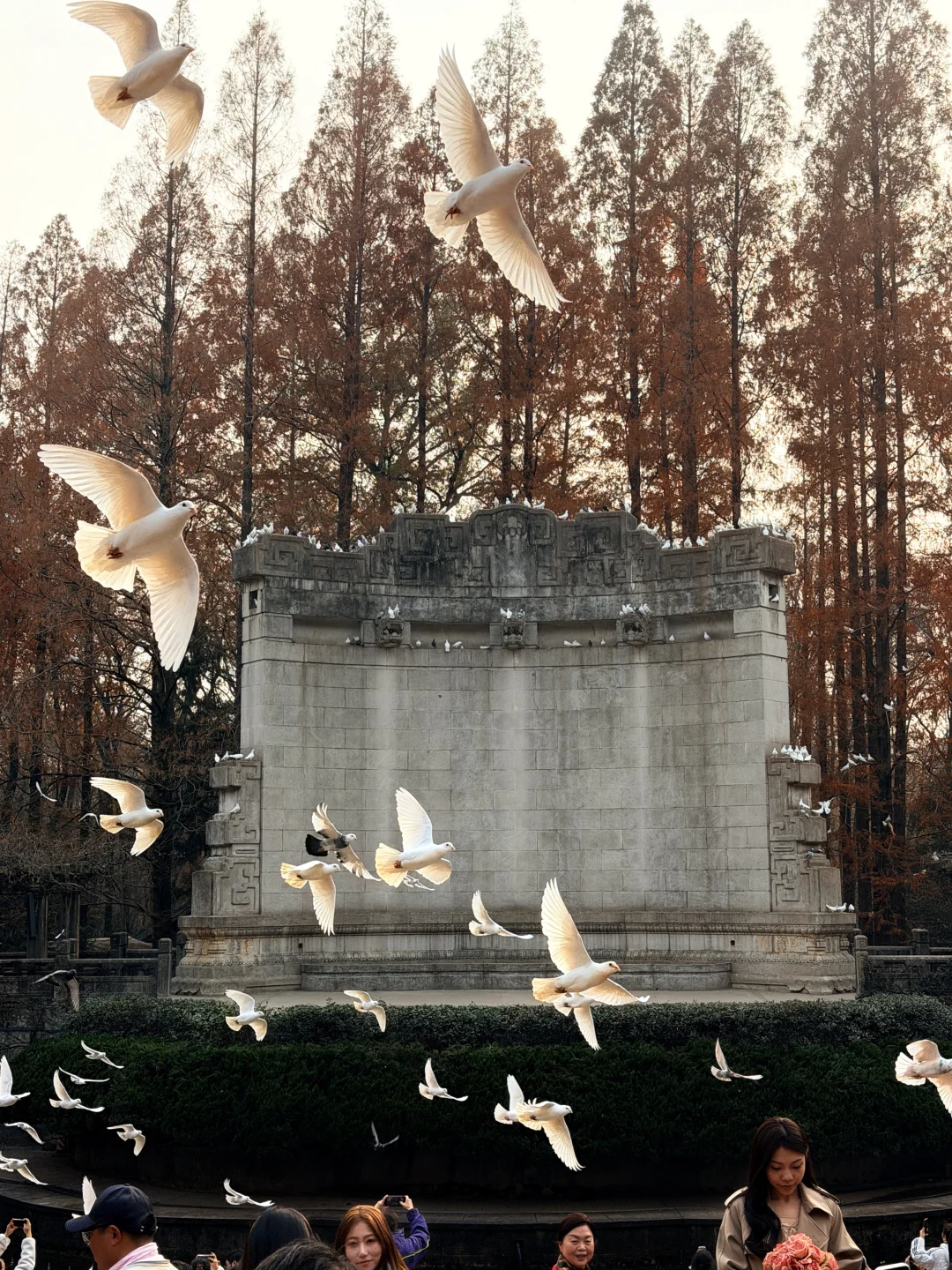 12.12音乐台实况图