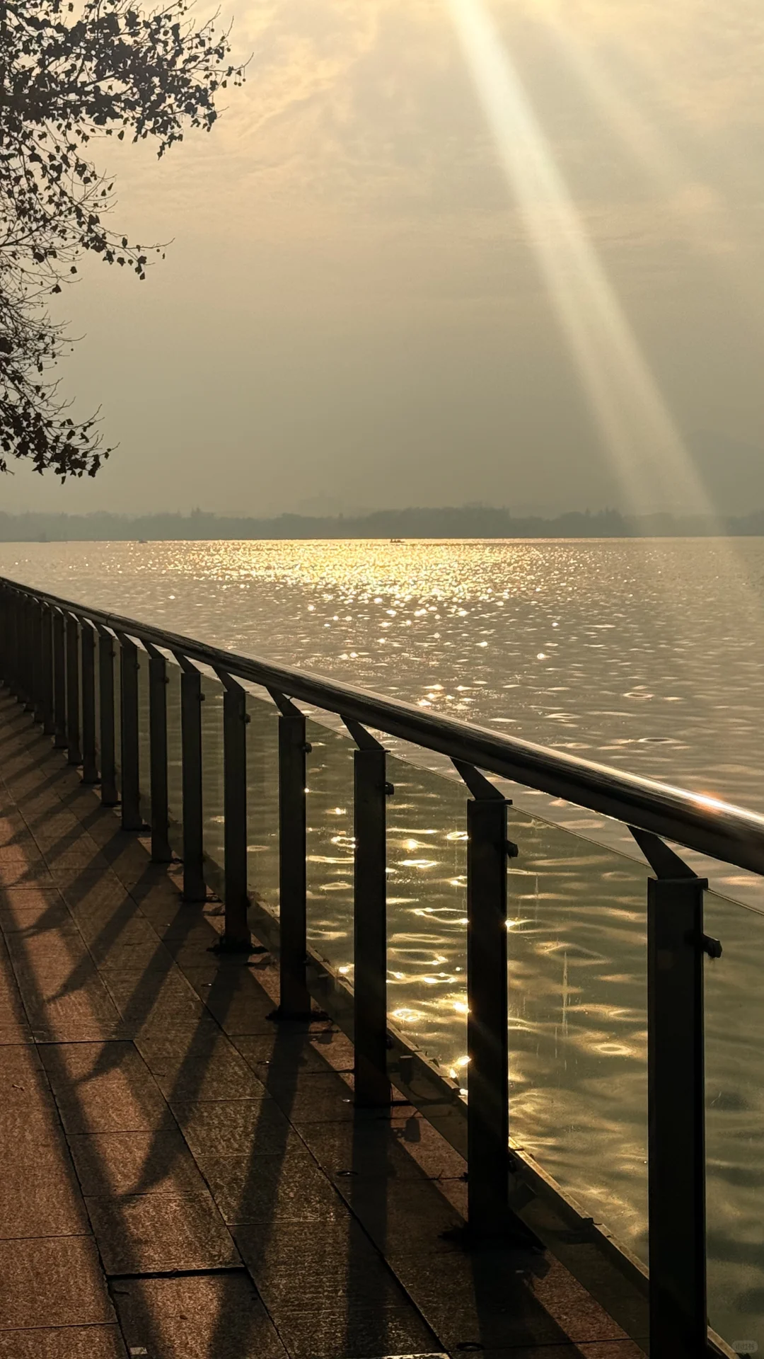 想和你交换一张浮光跃金的照片