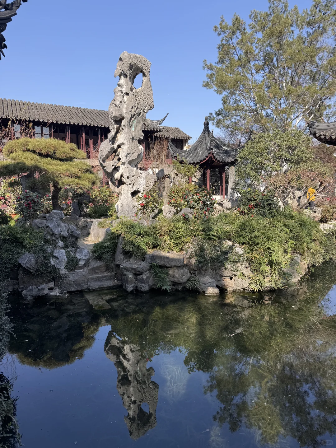 12.15实况！留园最后的红枫！