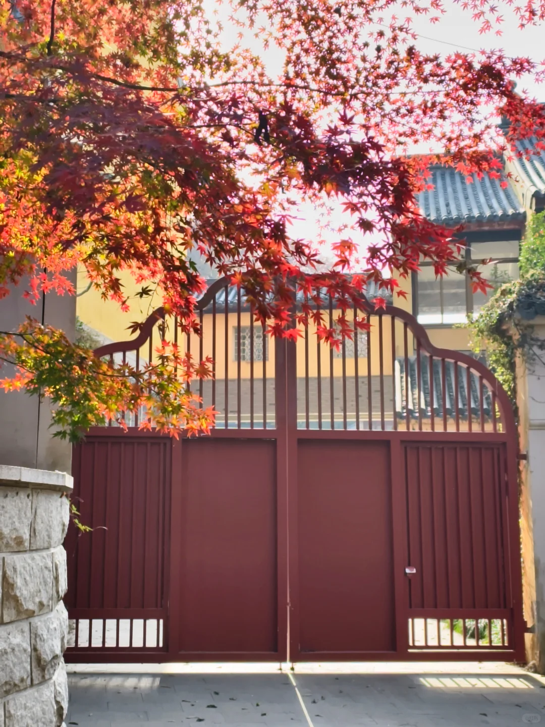 原来南京真的会让人有戒断反应！