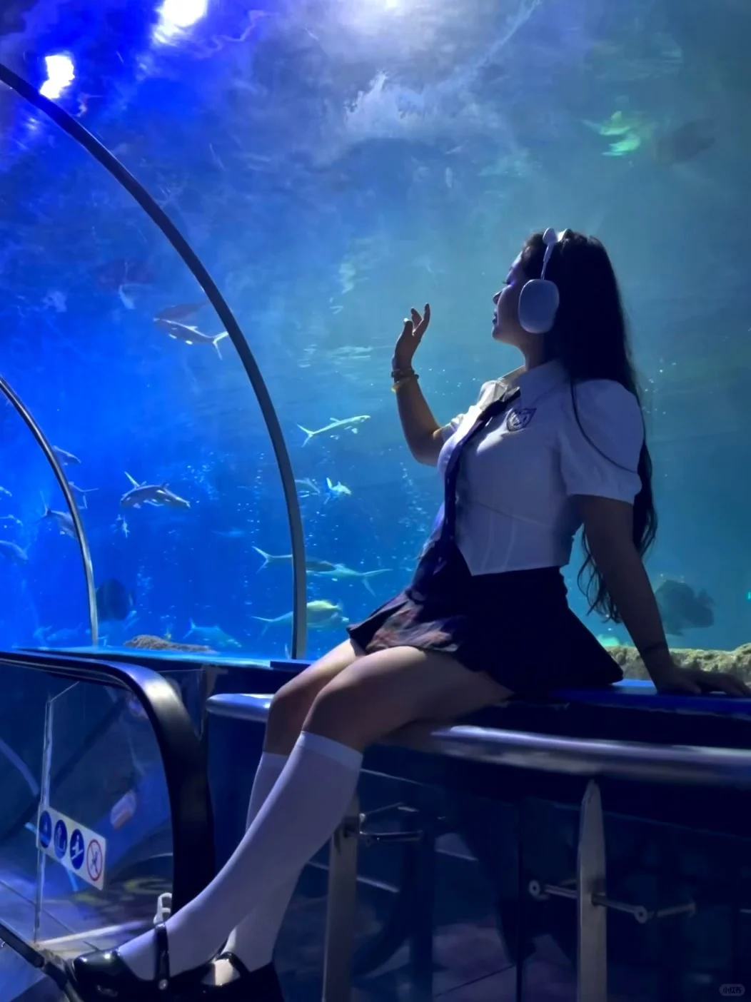 徐州 海洋馆 巨出片