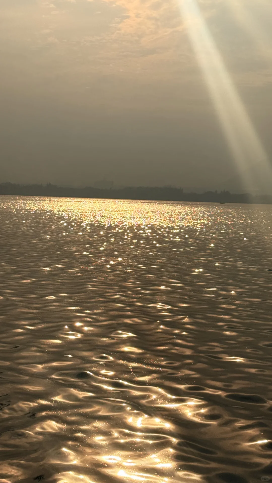 想和你交换一张浮光跃金的照片