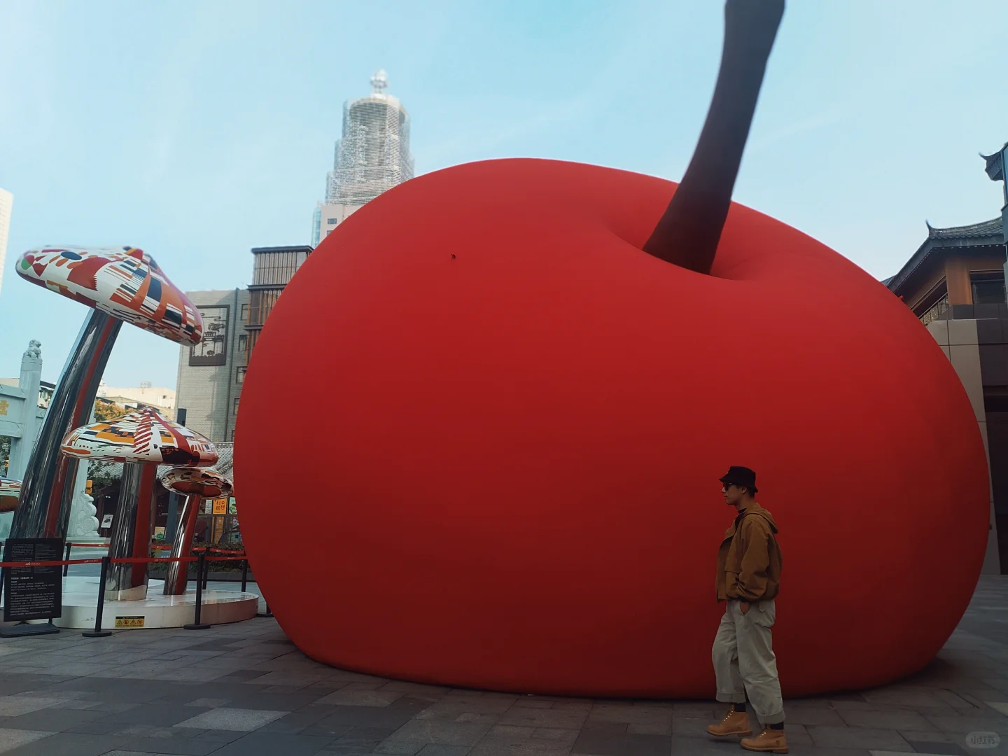 徐州旅游|徐州的大苹果🍎在文庙里？