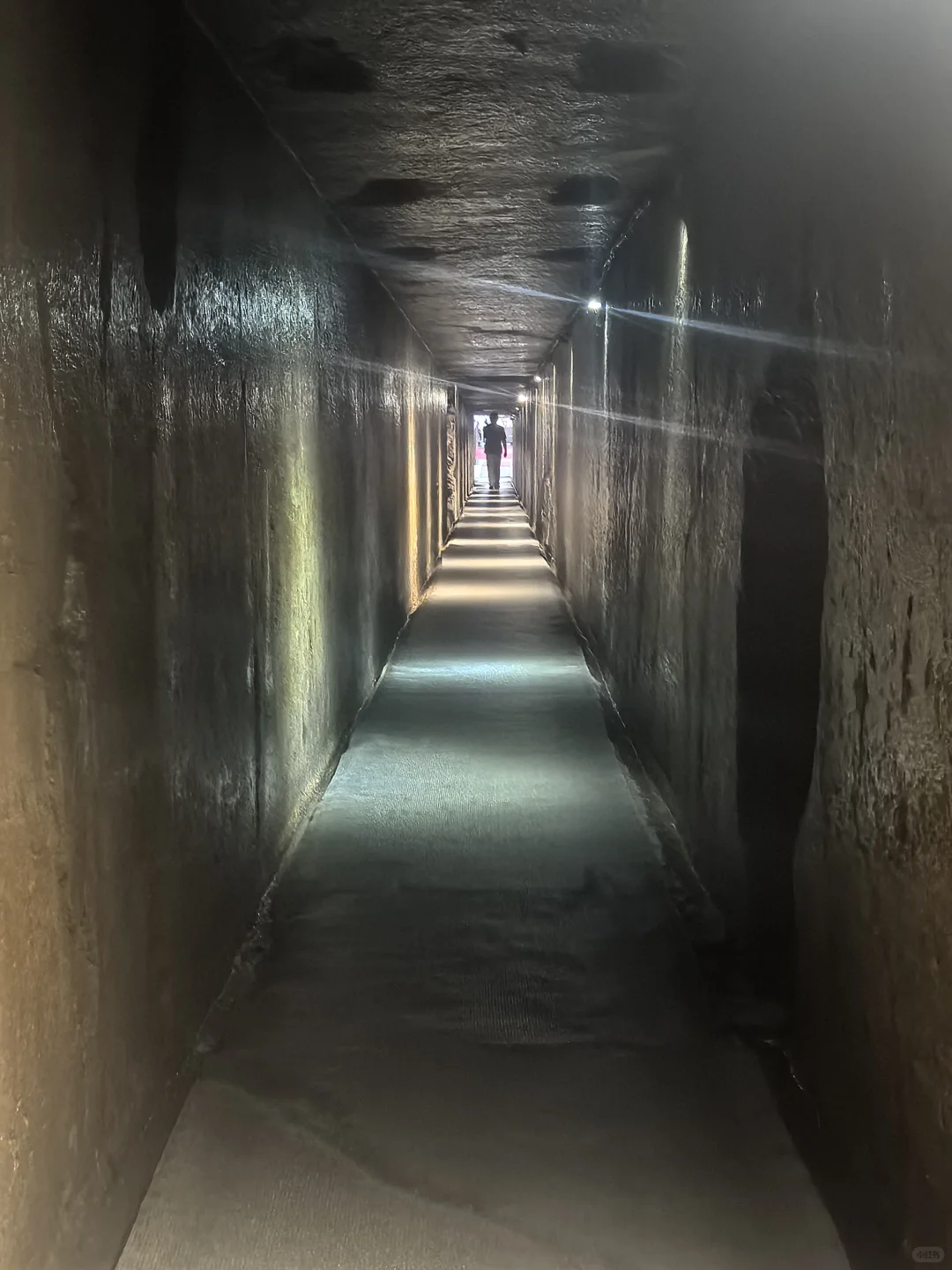 下墓记｜徐州.龟山汉墓（国四）