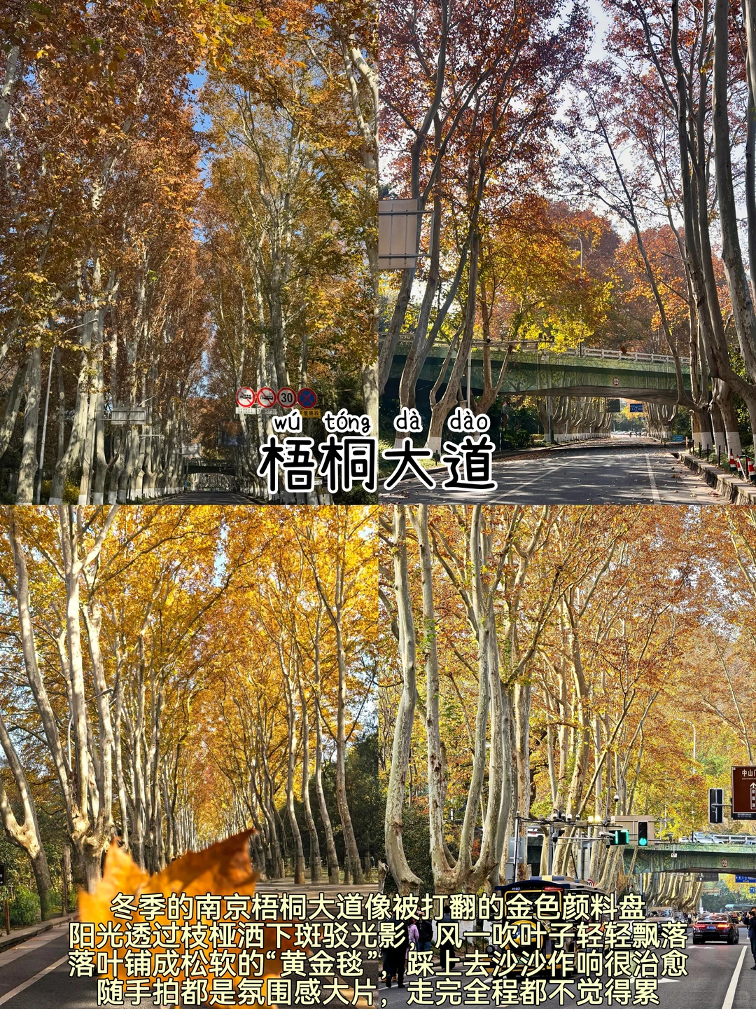 南京📍两日游丨不走回头路保姆级逛吃攻略