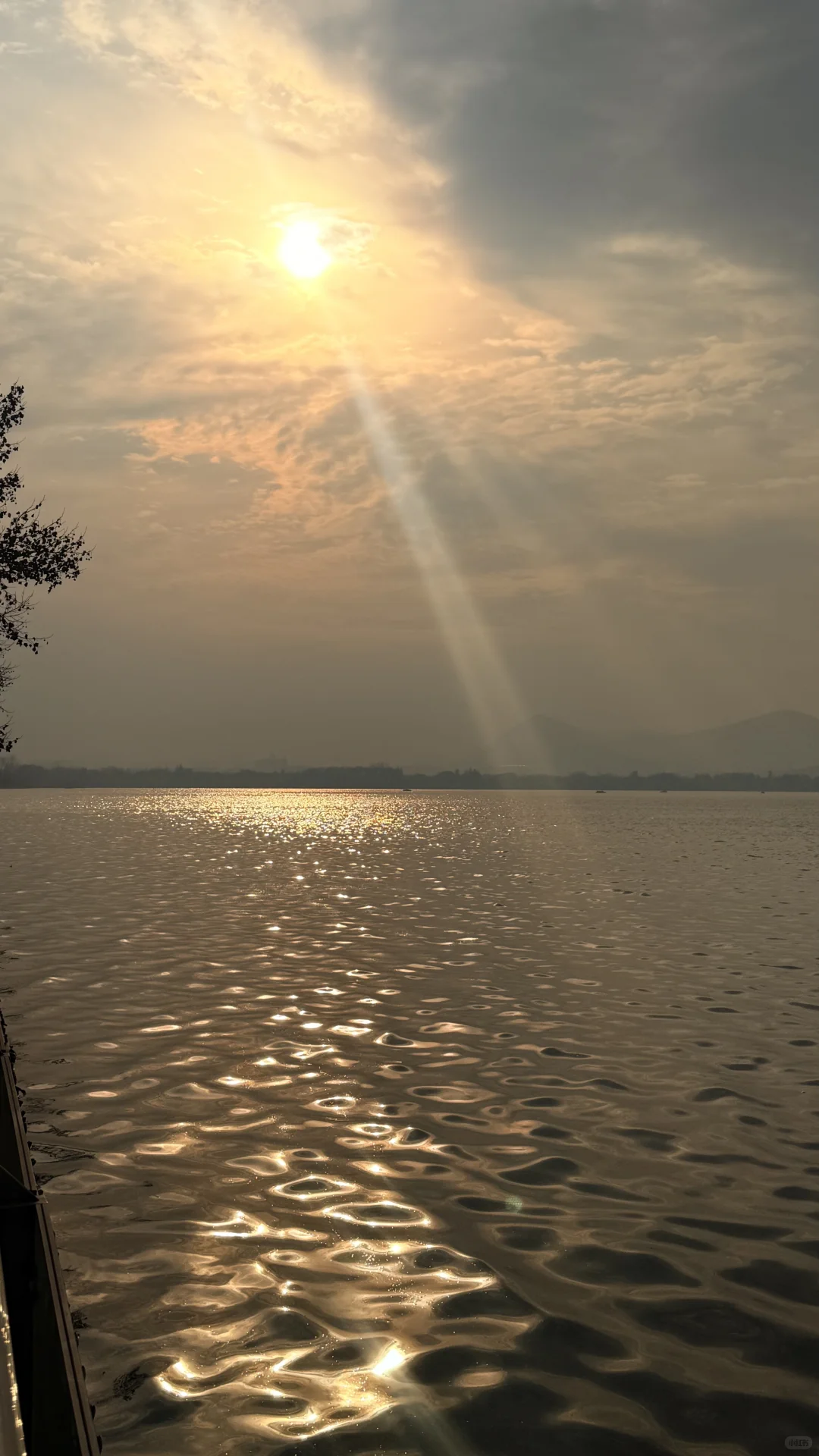 想和你交换一张浮光跃金的照片