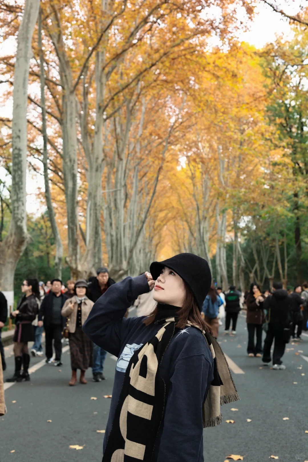 梧桐大道白白浪费了20