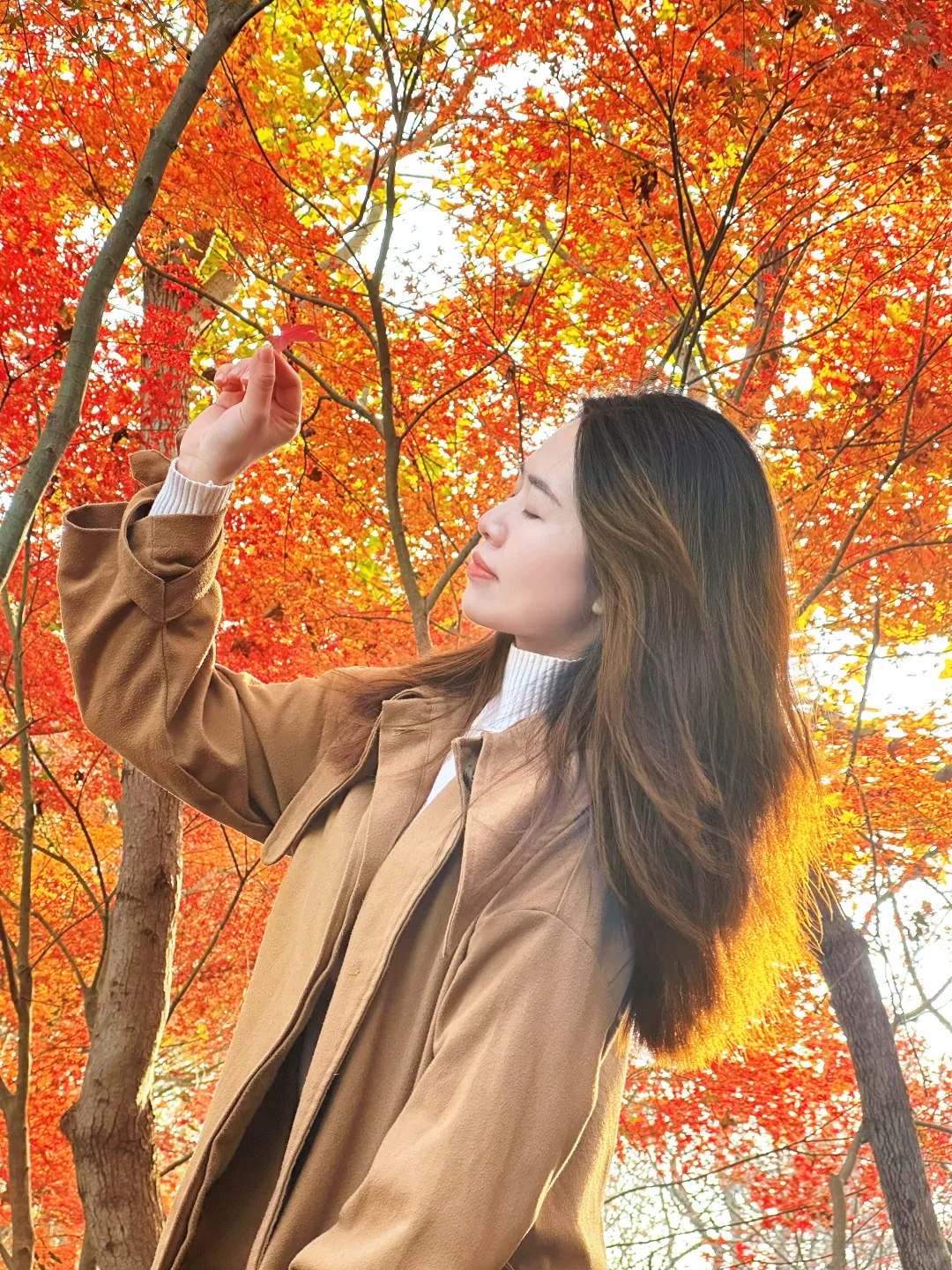 12月实况！南京的深秋真的美疯了！！