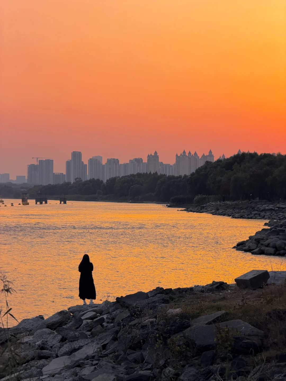每个来南京的朋友 都会被我带来的地方…