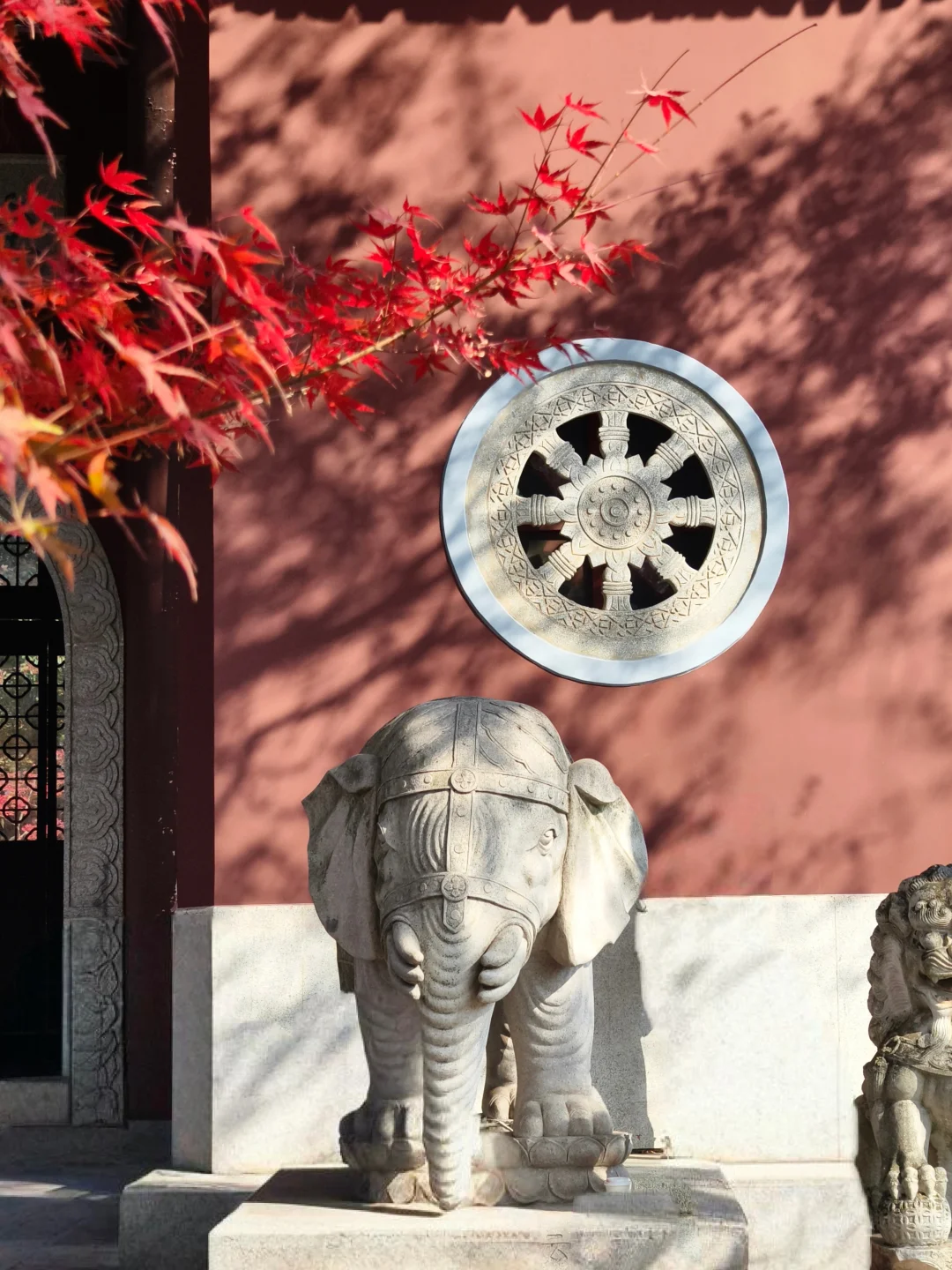 原来南京真的会让人有戒断反应！