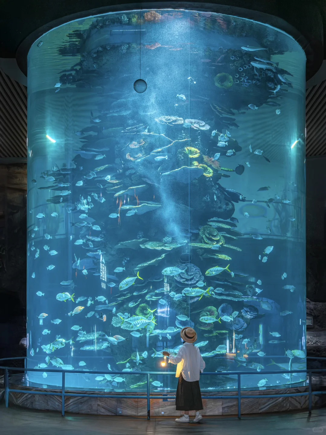 为了这扇窗，我特地去了趟徐州…