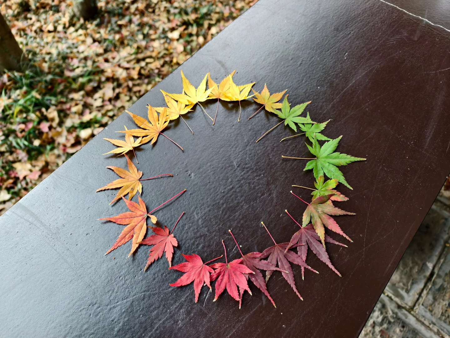 原来南京真的会让人有戒断反应！