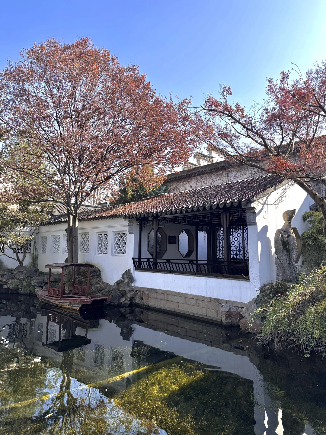 12.15实况！留园最后的红枫！