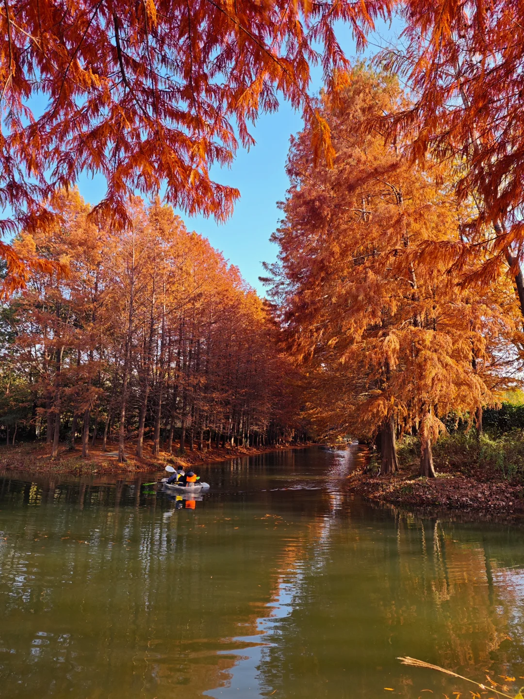 12.14周末逃离上海之苏州虎丘湿地公园