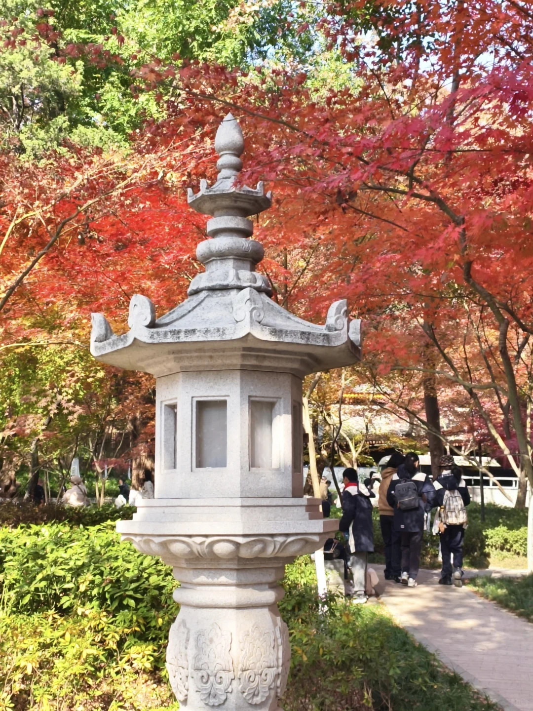 原来南京真的会让人有戒断反应！