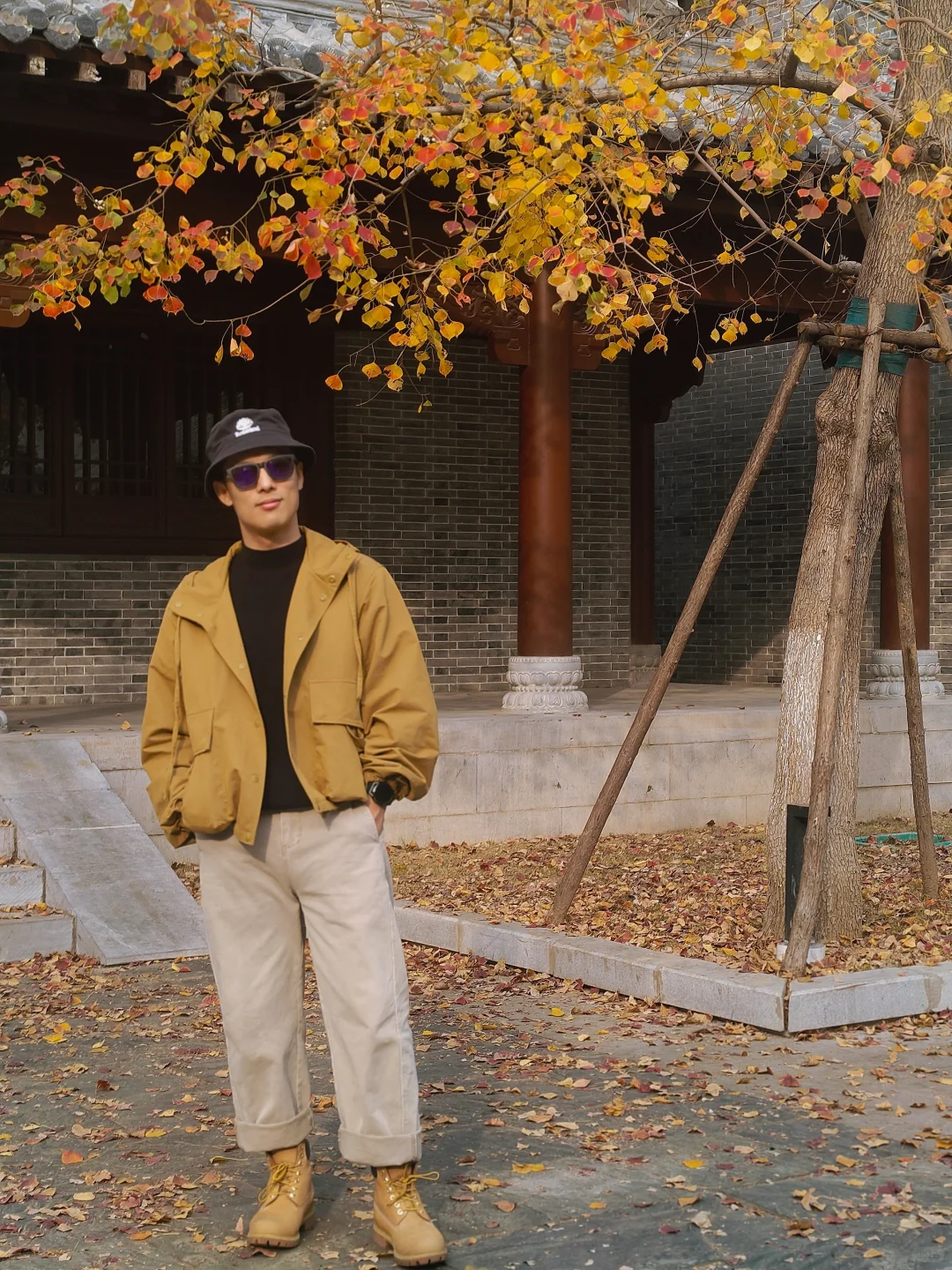 徐州旅游|徐州的大苹果🍎在文庙里？