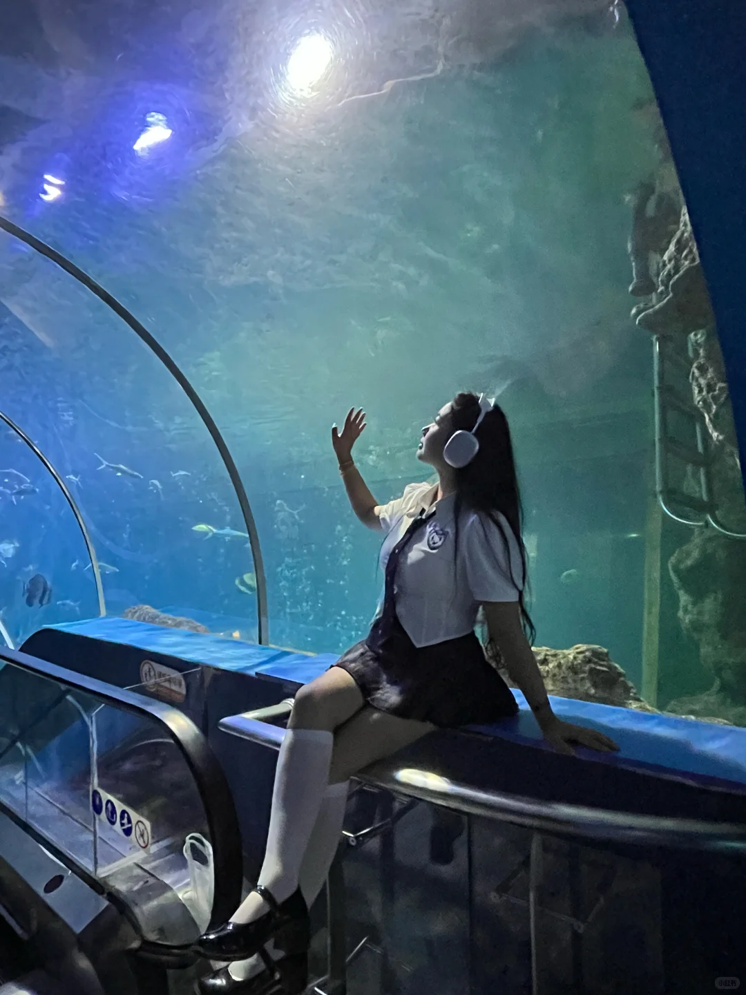 徐州 海洋馆 巨出片