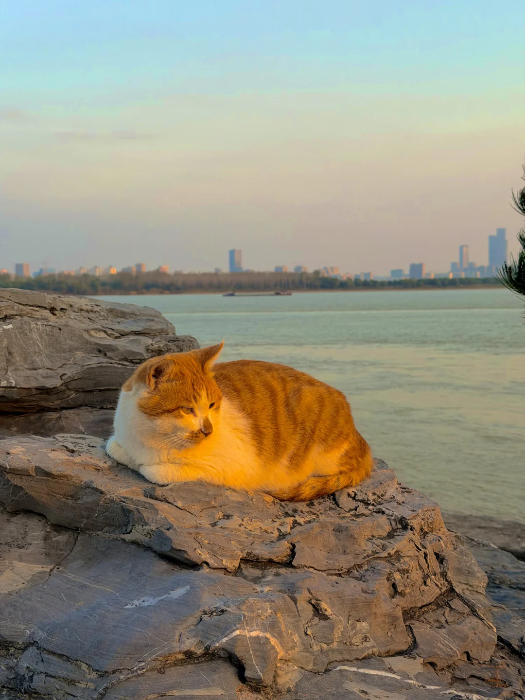 每个来南京的朋友 都会被我带来的地方…