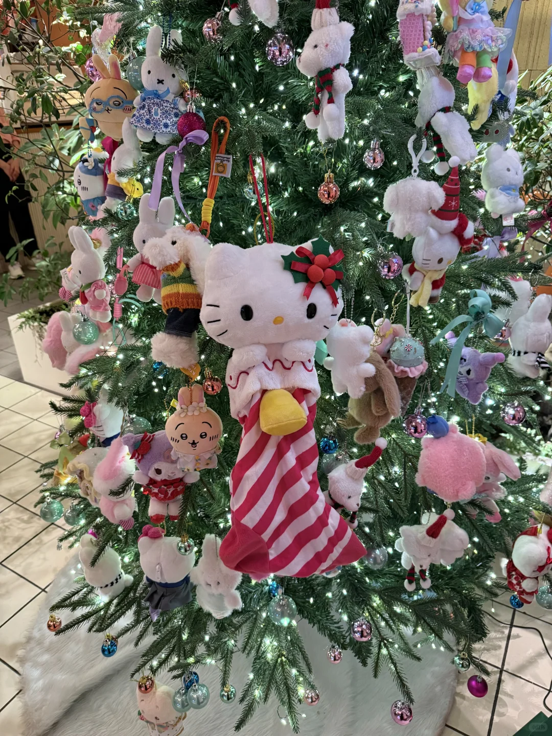 🎅🏻南京近期的漂亮店合集📍拍照➕吃饭路线✅