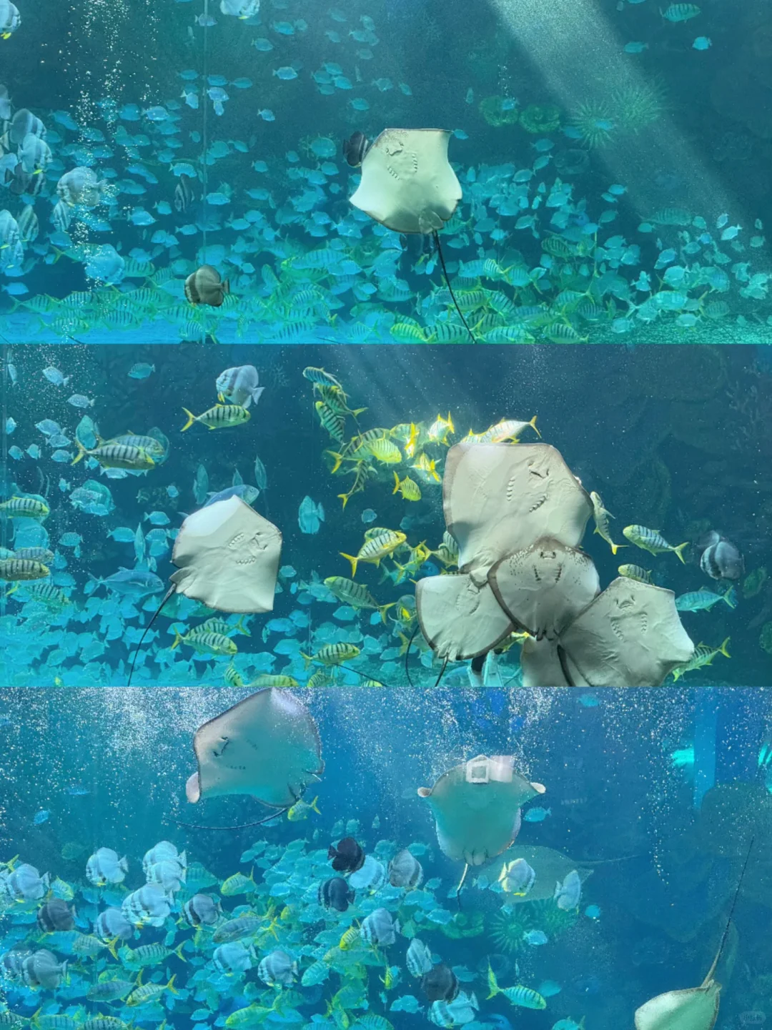 为了这扇窗，我特地去了趟徐州…