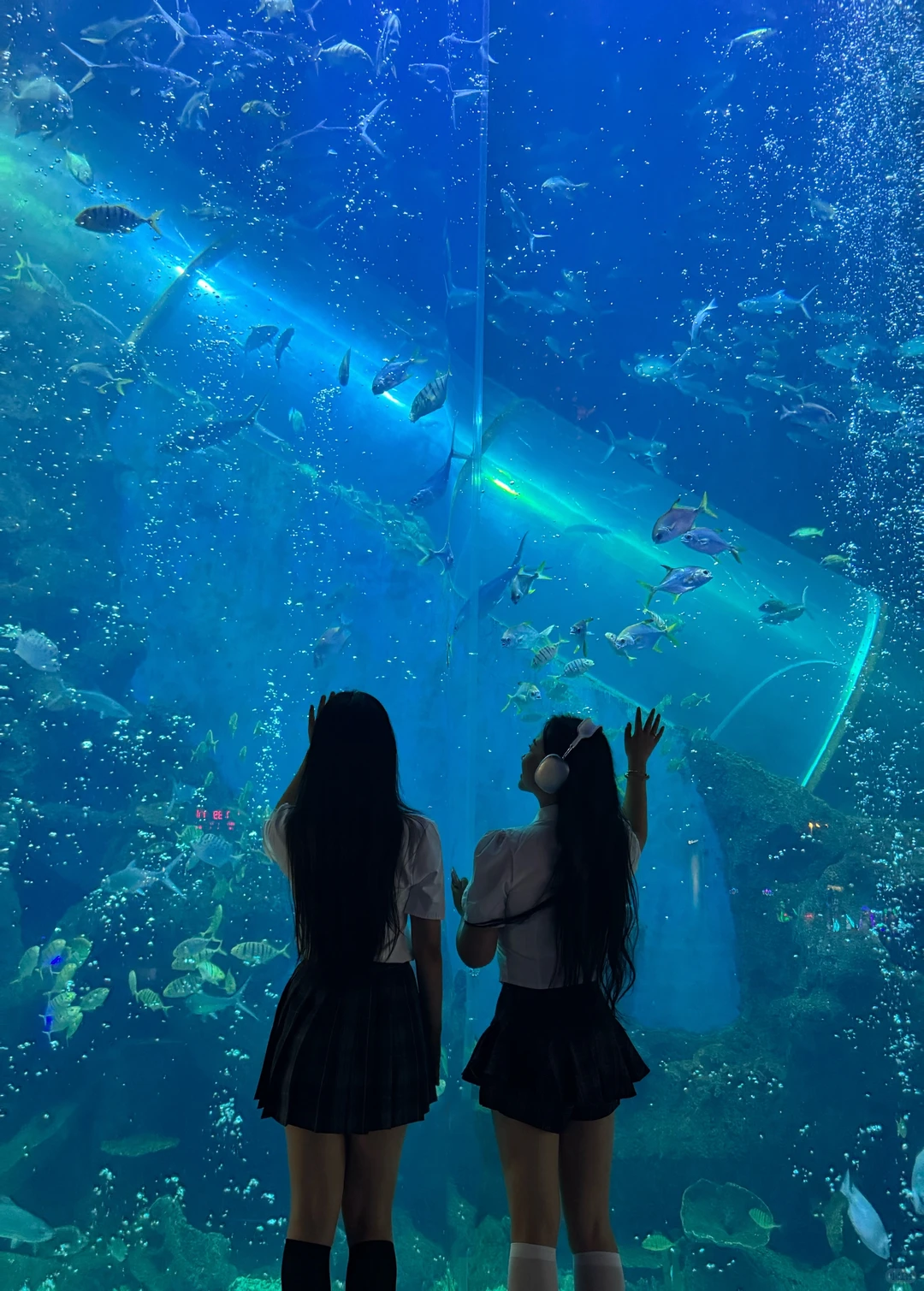 徐州 海洋馆 巨出片