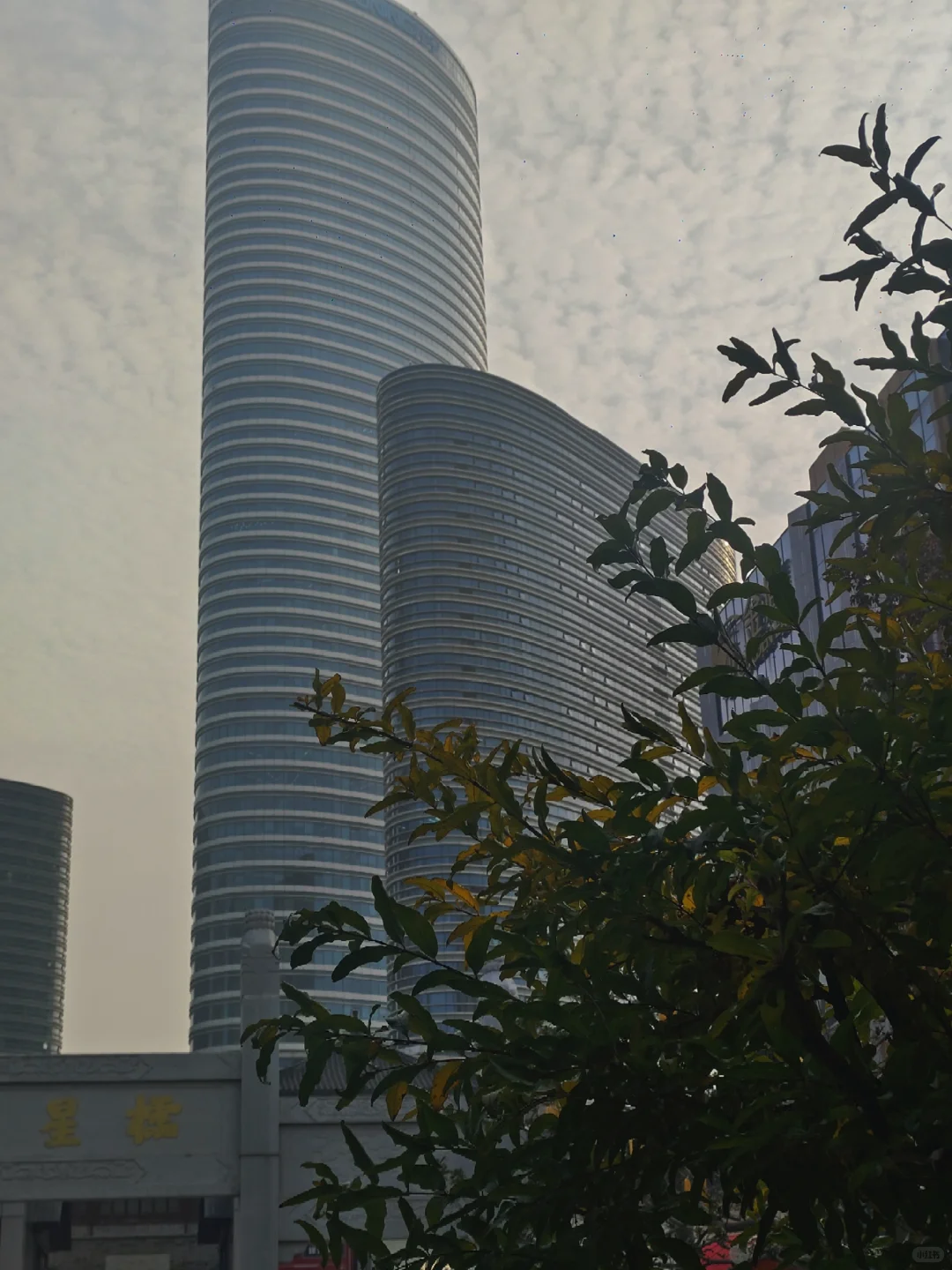 徐州旅游|徐州的大苹果🍎在文庙里？