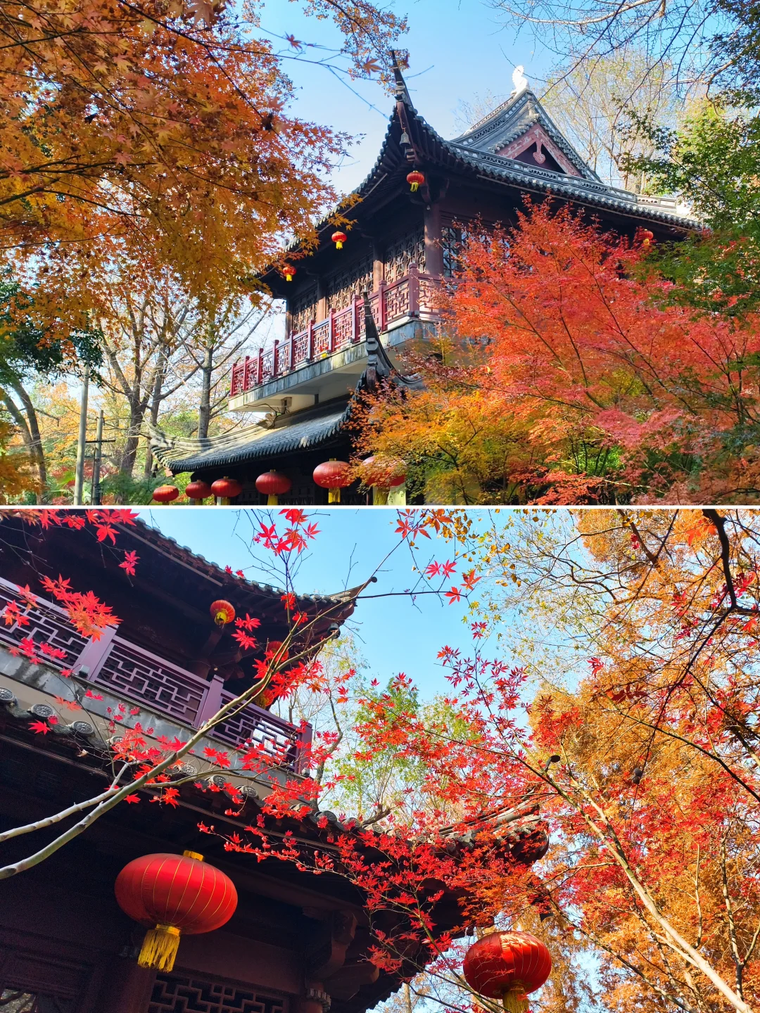 原来南京真的会让人有戒断反应！