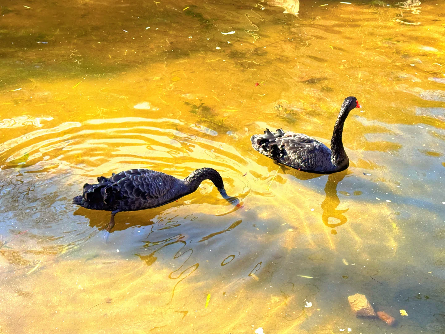 南京老山森林公园