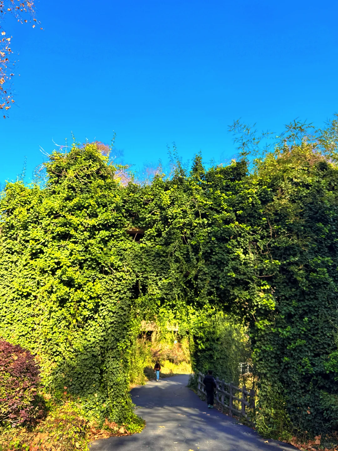 南京老山森林公园