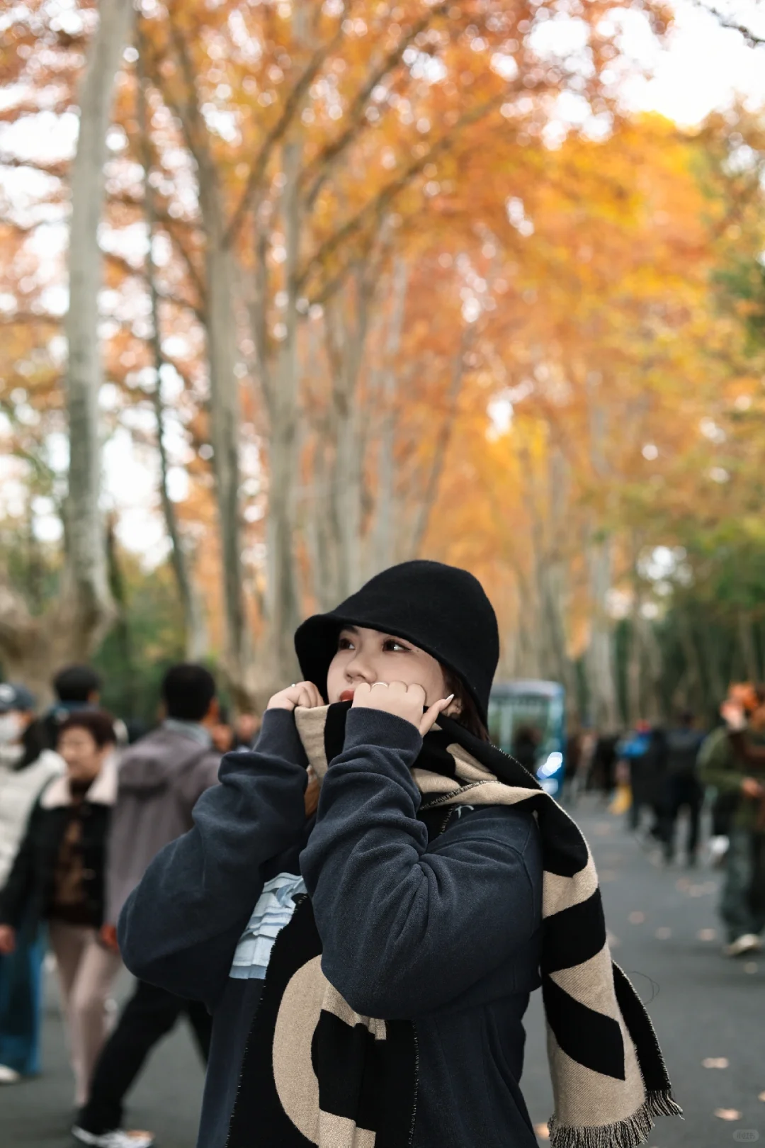 梧桐大道白白浪费了20