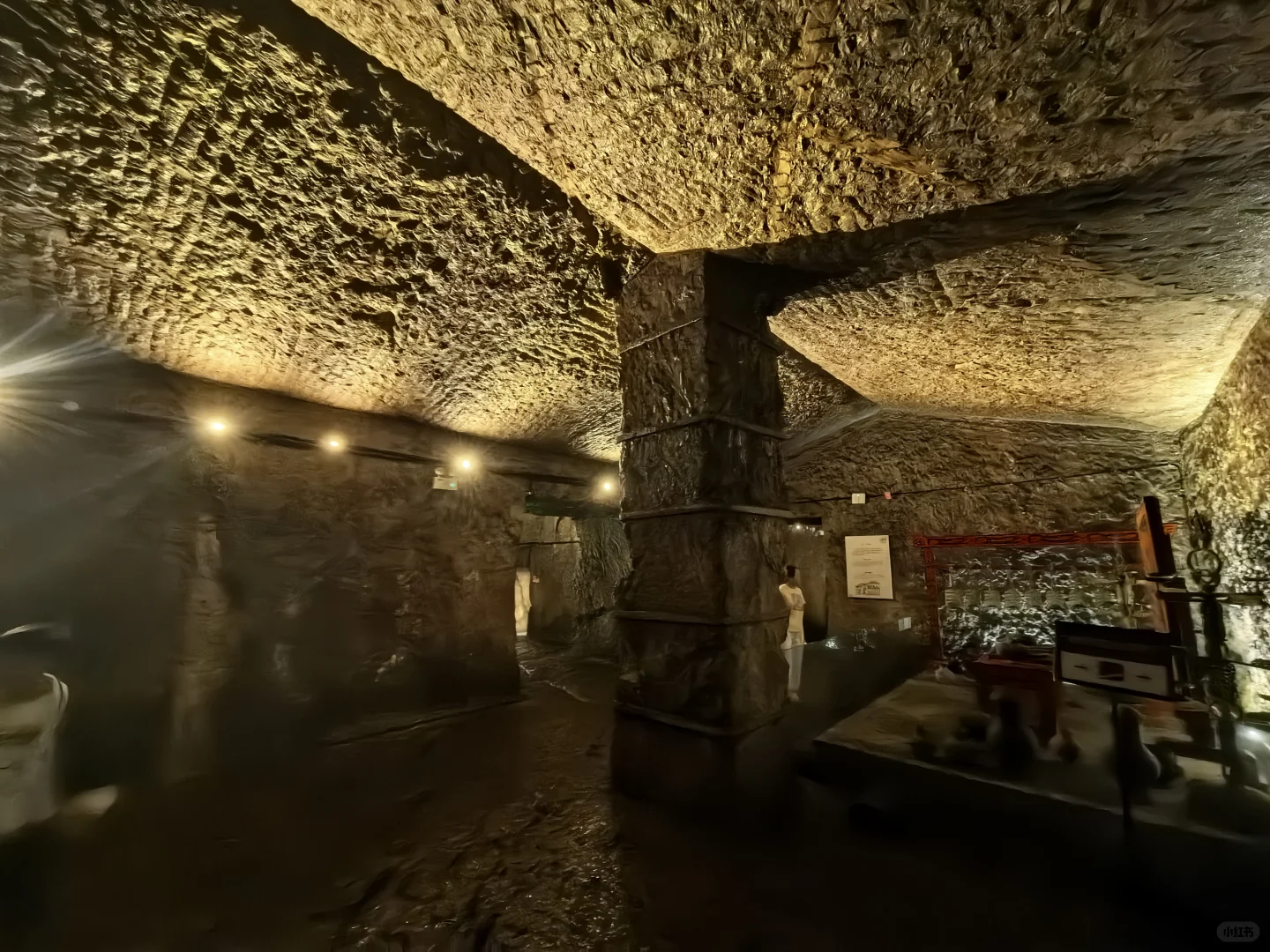 下墓记｜徐州.龟山汉墓（国四）